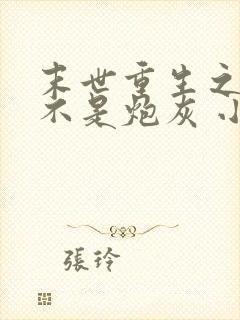 末世重生之我可不是炮灰 小说封面