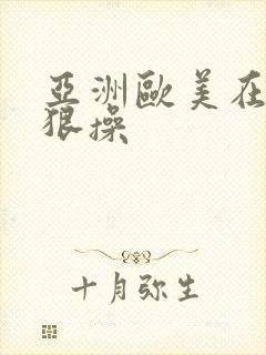 亚洲欧美在线狠狠操