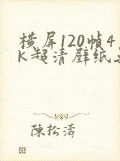 横屏120帧4k超清壁纸无水印