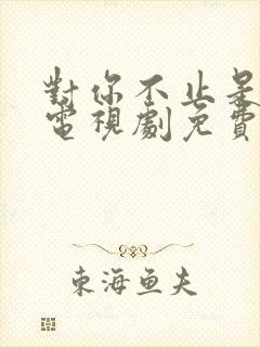 对你不止是喜欢电视剧免费看