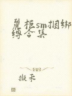 丽柜sm捆绑紧缚合集