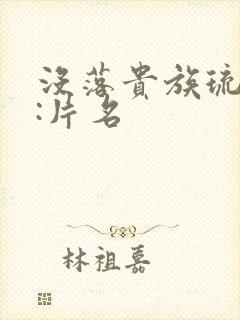 没落贵族琉璃川:片名