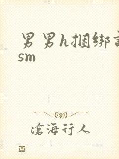 男男h捆绑调教sm