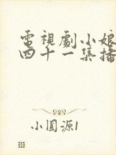 电视剧小娘惹第四十一集播放封面