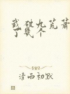 武破九荒萧叶娶了几个