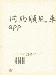 网约顺风车什么app