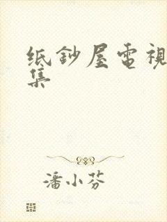 纸钞屋电视剧全集