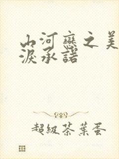山河恋之美人无泪承诺封面