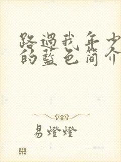 路过我年少时光的蓝色简介