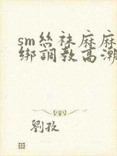 sm丝袜麻麻捆绑调教高潮小说封面