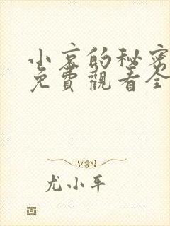小哀的秘密动漫免费观看全集封面