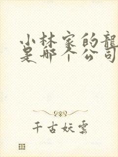 小林家的龙女仆是哪个公司的?