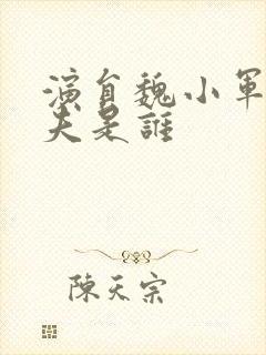 演员魏小军的丈夫是谁