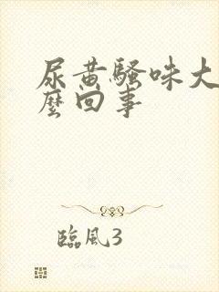尿黄骚味大是怎么回事