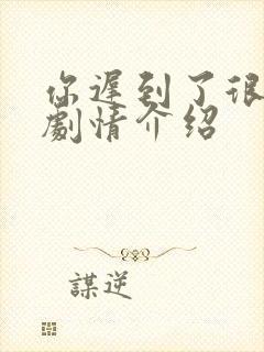你迟到了很多年剧情介绍