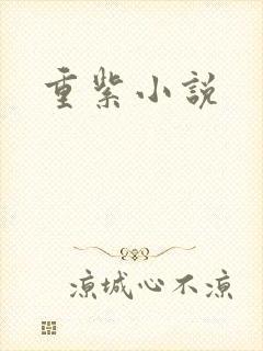 重紫小说