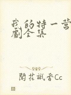我的特一营电视剧全集