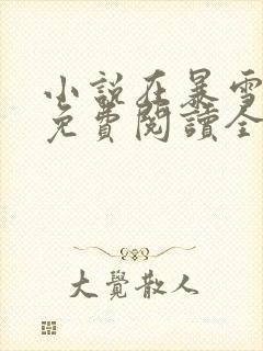 小说在暴雪时分免费阅读全文无窗口