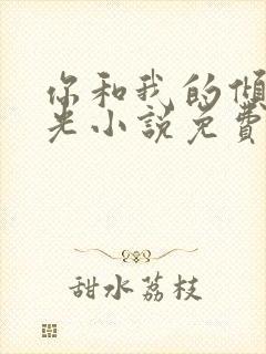 你和我的倾城时光小说免费阅读全文