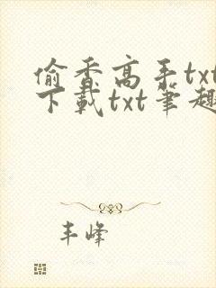 偷香高手txt下载txt笔趣阁封面
