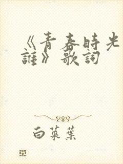 《青春时光等过谁》歌词