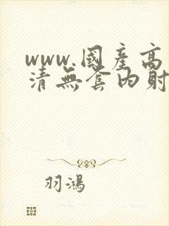www.国产高清无套内射在线观看视频封面