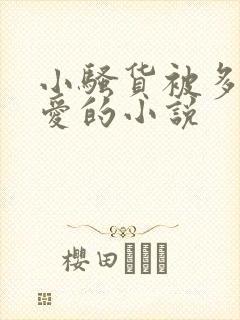 小骚货被多人疼爱的小说封面