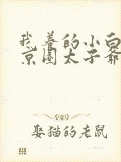 我养的小白脸是京圈太子爷完整版