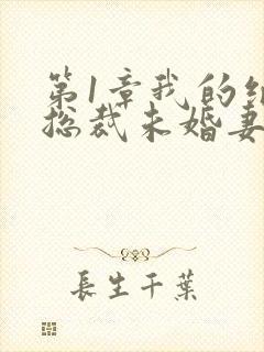 第1章我的绝色总裁未婚妻