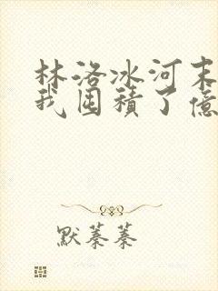 林洛冰河末世:我囤积了亿亿万物资