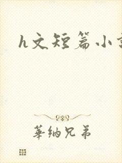 h文短篇小说封面
