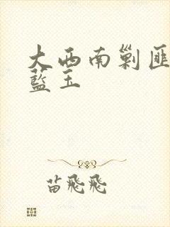 大西南剿匪记 蓝玉