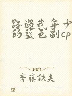 路过我年少时光的蓝色副cp