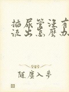 插尿管没有尿液流出怎么办