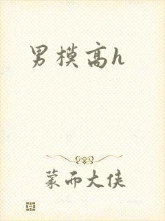 男模高h