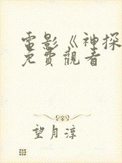 电影《神探2》免费观看