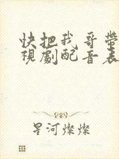 快把我哥带走电视剧配音表