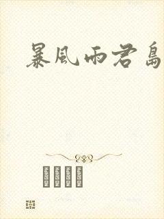 暴风雨君岛美绪封面