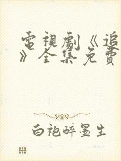 电视剧《追击者》全集免费播放