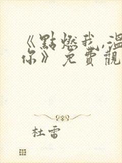 《点燃我,温暖你》免费观看封面