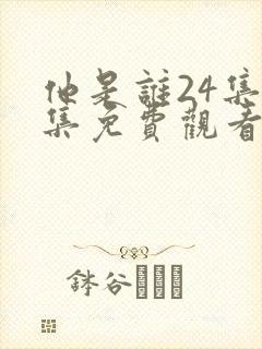 他是谁24集全集免费观看