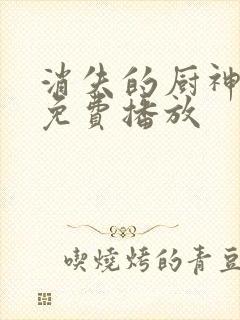 消失的厨神全集免费播放
