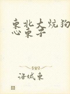 东北大炕狗儿苦心东子