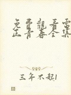 免费观看电视剧正青春全集在线播放
