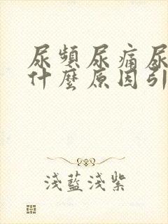 尿频尿痛尿不尽什么原因引起的封面