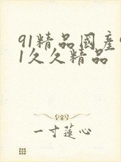 91精品国产91久久精品