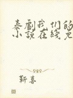 泰剧我们的秘密小说在线免费观看封面