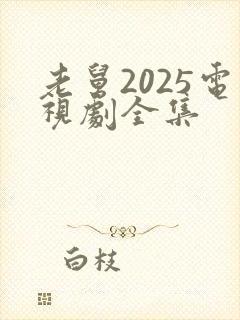 老舅2025电视剧全集