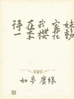 待在我家妹妹第一季樱花动漫