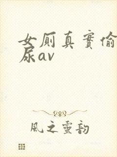 女厕真实偷拍撒尿av